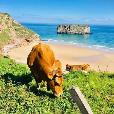 Casa vacanze Gestiona2r - Con Finca, Piscina-padel-golf *